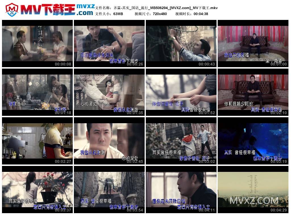 齐霖-其实_国语_流行_MB506294